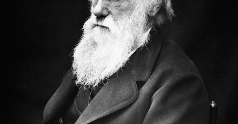 A Brief History of Evolutionary Psychology
